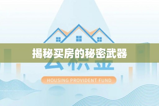 开鲁揭秘买房的秘密武器