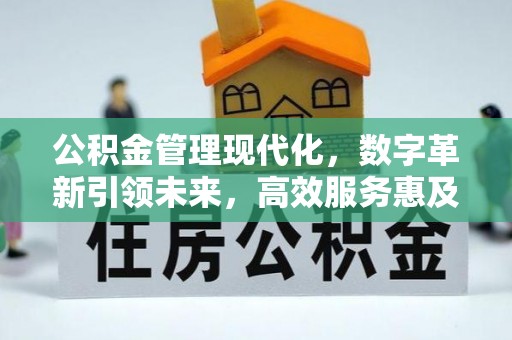 开鲁公积金管理现代化，数字革新引领未来，高效服务惠及民生