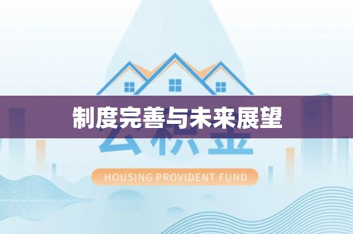 开鲁制度完善与未来展望