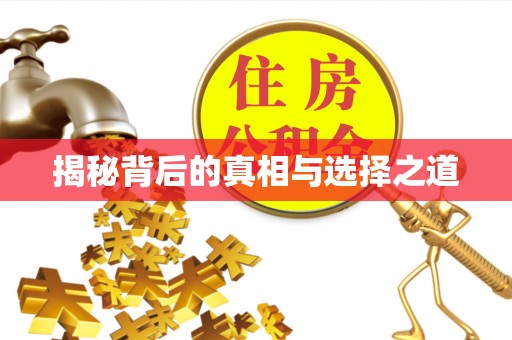 开鲁揭秘背后的真相与选择之道