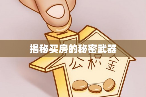 开鲁揭秘买房的秘密武器