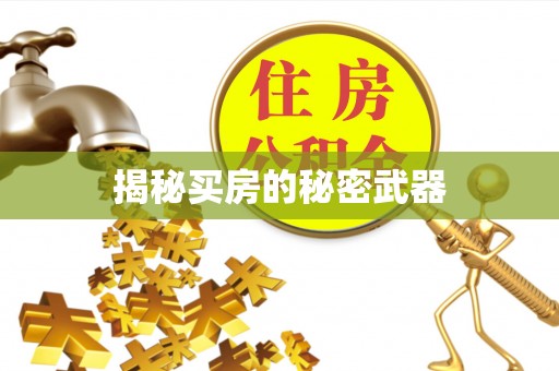 开鲁揭秘买房的秘密武器