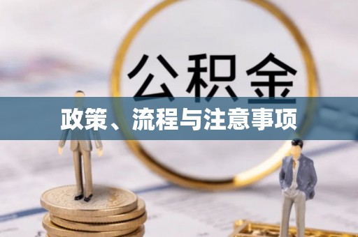 开鲁政策、流程与注意事项