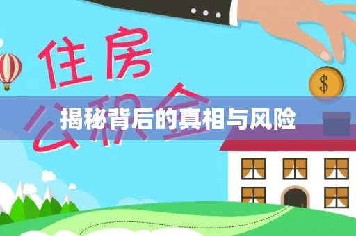 开鲁揭秘背后的真相与风险