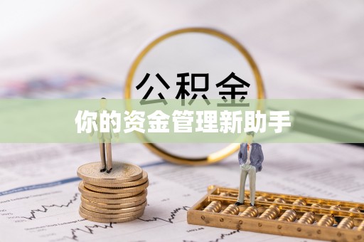 开鲁你的资金管理新助手