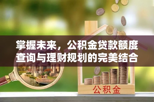 开鲁掌握未来，公积金贷款额度查询与理财规划的完美结合