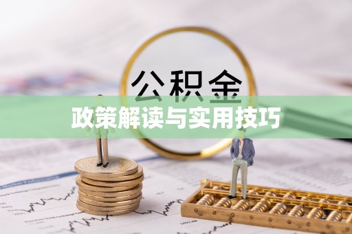 开鲁政策解读与实用技巧