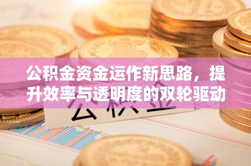 开鲁公积金资金运作新思路，提升效率与透明度的双轮驱动
