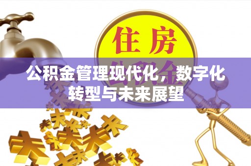 开鲁公积金管理现代化，数字化转型与未来展望