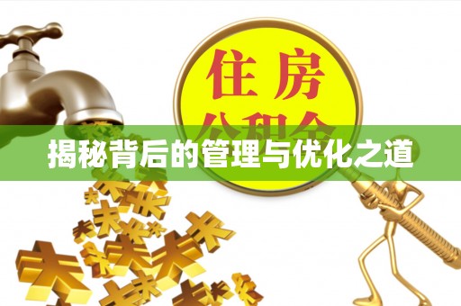 开鲁揭秘背后的管理与优化之道