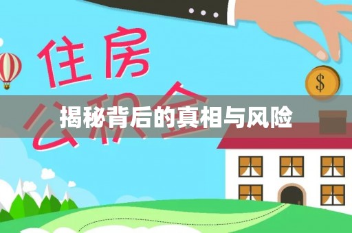 开鲁揭秘背后的真相与风险