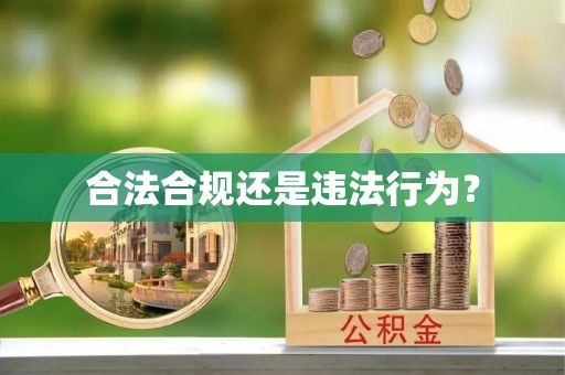 开鲁合法合规还是违法行为？