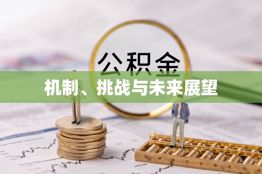 开鲁机制、挑战与未来展望