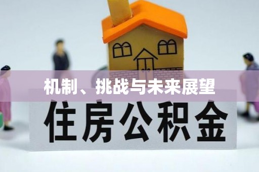 开鲁机制、挑战与未来展望